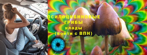 a pvp Инта