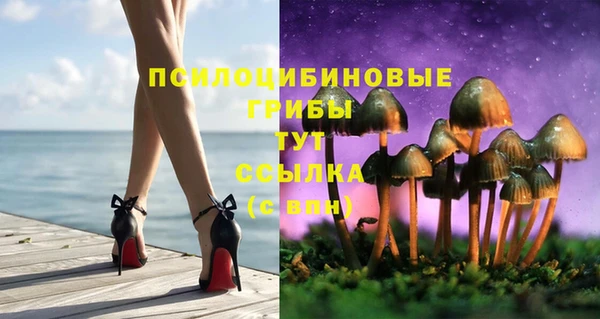 гашик Семилуки