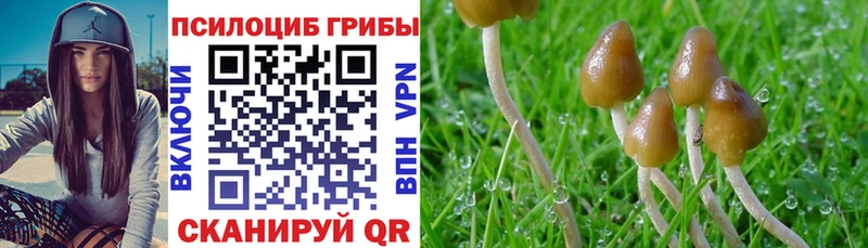 Купить  Большой Камень  Галлюциногенные грибы мухоморы 